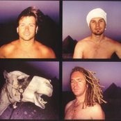 Three Fish - List pictures