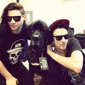 Dog Blood - List pictures