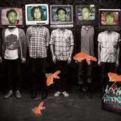 Local Natives - List pictures