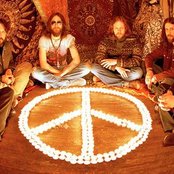 Black Crowes - List pictures