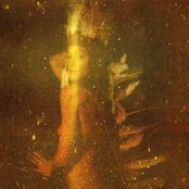 Neon Indian - List pictures