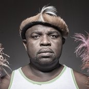 Nozinja - List pictures