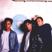3t - List pictures