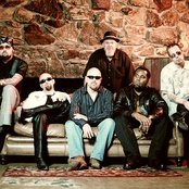 Fabulous Thunderbirds - List pictures