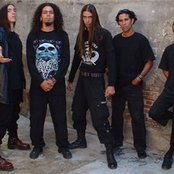 Dana - List pictures