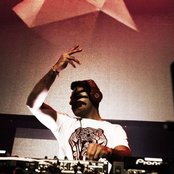 Yogi - List pictures