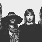 Pauw - List pictures