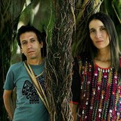 Los Aterciopelados - List pictures