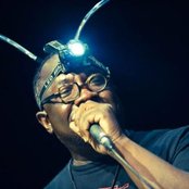 Mad Professor - List pictures