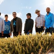 Ozomatli - List pictures