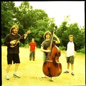 Phish - List pictures