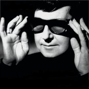Orbison Roy - List pictures