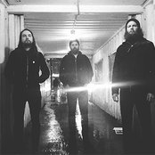 Sumac - List pictures