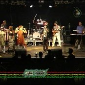 The Lions - List pictures