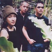 Barbie's Cradle - List pictures