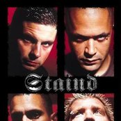 Stanid - List pictures