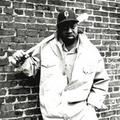 Cappadonna - List pictures