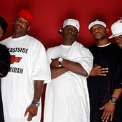 Boyz N Da Hood - List pictures