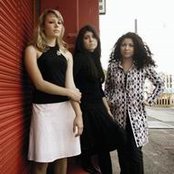 Magneta Lane - List pictures