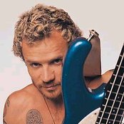 Flea - List pictures