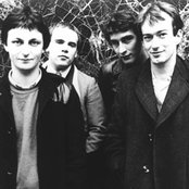 Gang Of Four - List pictures