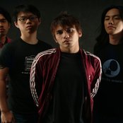 Spongecola - List pictures