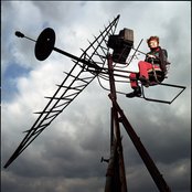 Foetus - List pictures