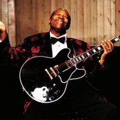 B.b. King - List pictures