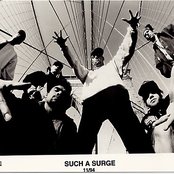 Such A Surge - List pictures