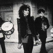 Siouxie - List pictures