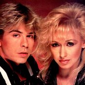 Dollar - List pictures