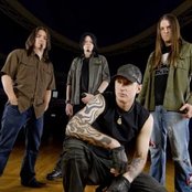 Soil - List pictures