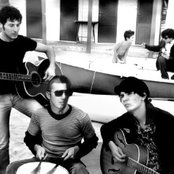 The Zen Circus - List pictures