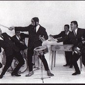 The Frantics - List pictures