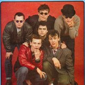 Madness - List pictures