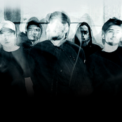 Envy - List pictures