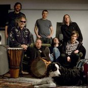 Tired Pony - List pictures