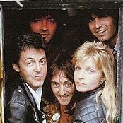 Wings - List pictures