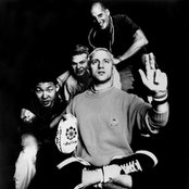 Shelter - List pictures