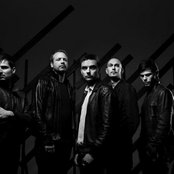 Nephew - List pictures