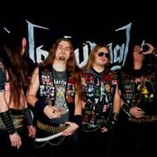 Nocturnal - List pictures