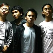 Spongecola - List pictures