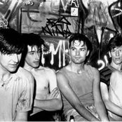 Chameleons - List pictures