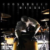 Crossbreed - List pictures