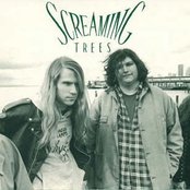 Screaming Trees - List pictures