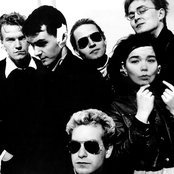 Sugarcubes - List pictures