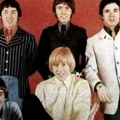 Easybeats - List pictures