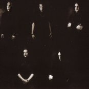 Crown Of Thorns - List pictures