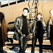 Bay Laurel - List pictures