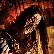 Dawn Of Ashes - List pictures